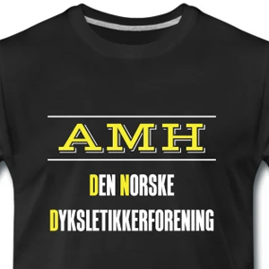 AMH - Den Norske Dyslektikerforening
