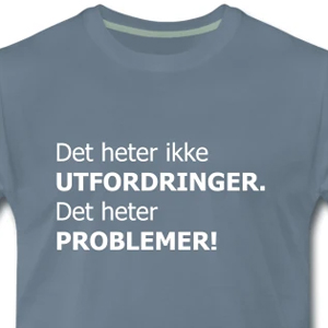 Det heter ikke utfordringer. Det heter problemer!