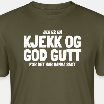 Jeg er en kjekk og god gutt, for det har mamma ...