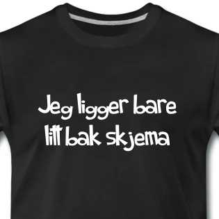 Jeg ligger bare litt bak skjema